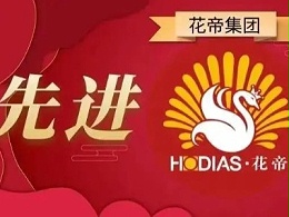 榜样的力量 | 花帝HODIAS12月份先进员工